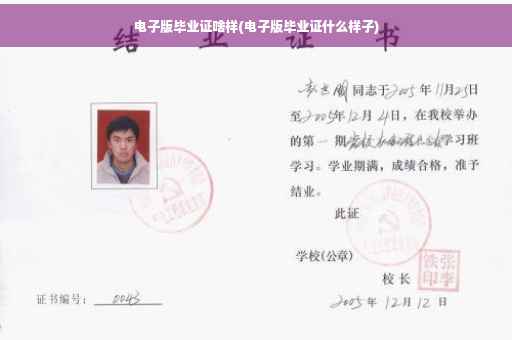 电子版毕业证啥样(电子版毕业证什么样子)