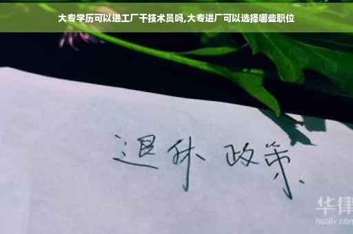 大专学历可以进工厂干技术员吗,大专进厂可以选择哪些职位