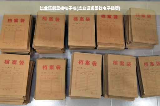 毕业证哪里找电子档(毕业证哪里找电子档案)