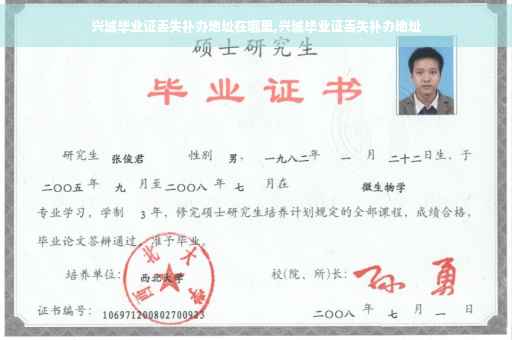 兴城毕业证丢失补办地址在哪里,兴城毕业证丢失补办地址