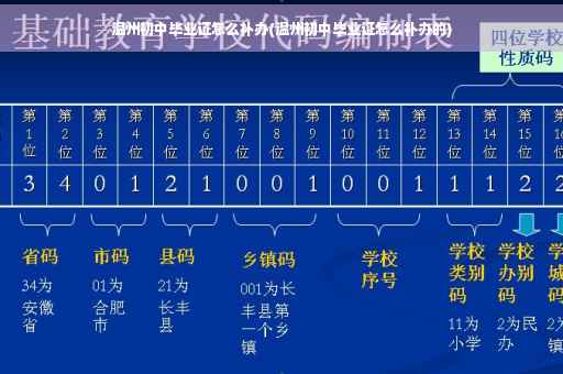 温州初中毕业证怎么补办(温州初中毕业证怎么补办的)