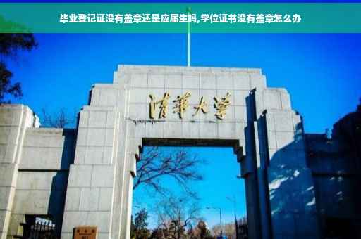 毕业登记证没有盖章还是应届生吗,学位证书没有盖章怎么办