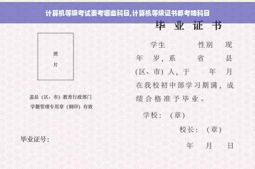 计算机等级考试要考哪些科目,计算机等级证书都考啥科目