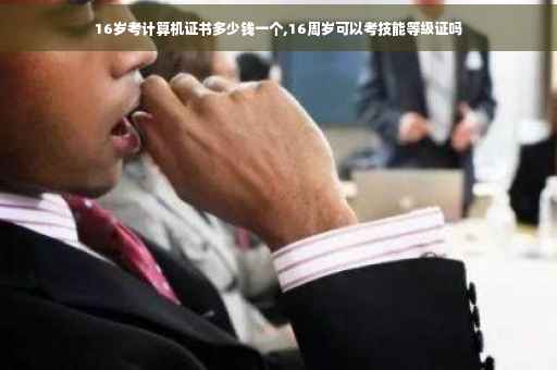 16岁考计算机证书多少钱一个,16周岁可以考技能等级证吗