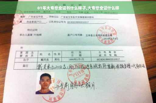 01年大专毕业证书什么样子,大专毕业证什么样