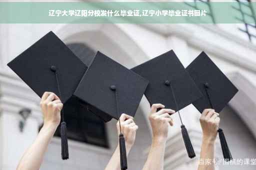辽宁大学辽阳分校发什么毕业证,辽宁小学毕业证书图片