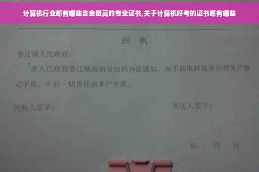 计算机行业都有哪些含金量高的专业证书,关于计算机好考的证书都有哪些