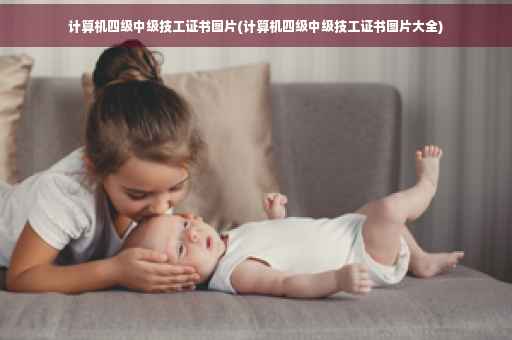 计算机四级中级技工证书图片(计算机四级中级技工证书图片大全)