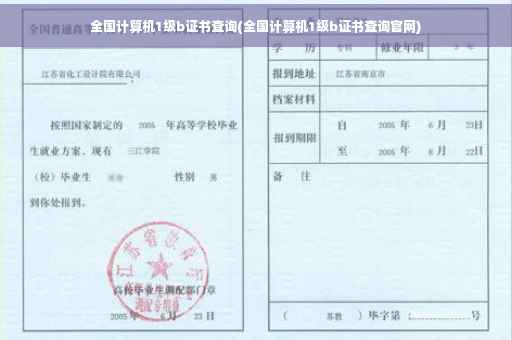 全国计算机1级b证书查询(全国计算机1级b证书查询官网)