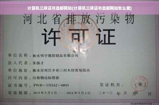 计算机三级证书直邮网站(计算机三级证书直邮网站怎么查)