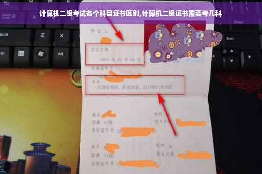 计算机二级考试各个科目证书区别,计算机二级证书需要考几科