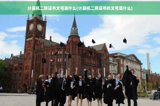 计算机二级证书文号是什么(计算机二级证书的文号是什么)