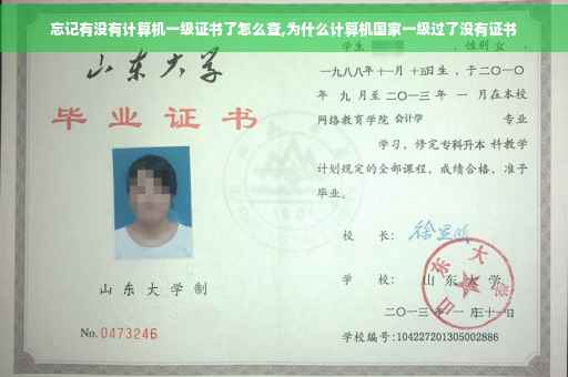 忘记有没有计算机一级证书了怎么查,为什么计算机国家一级过了没有证书