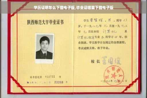学历证明怎么下载电子版,毕业证哪里下载电子版