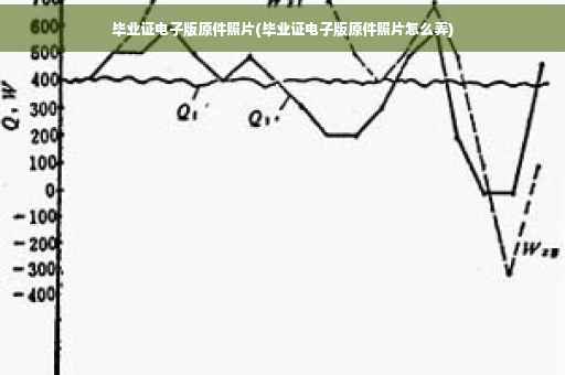 毕业证电子版原件照片(毕业证电子版原件照片怎么弄)