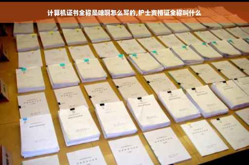 计算机证书全称是啥啊怎么写的,护士资格证全称叫什么