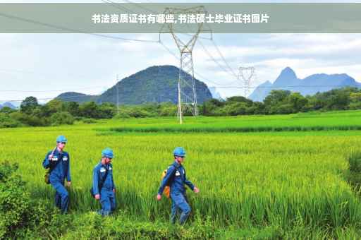 书法资质证书有哪些,书法硕士毕业证书图片