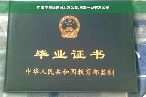中专学生证在网上怎么查,三加一证书怎么考