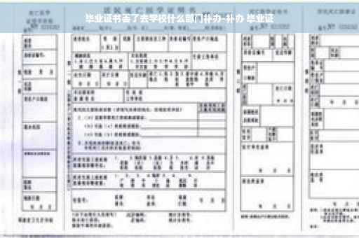 毕业证书丢了去学校什么部门补办-补办 毕业证