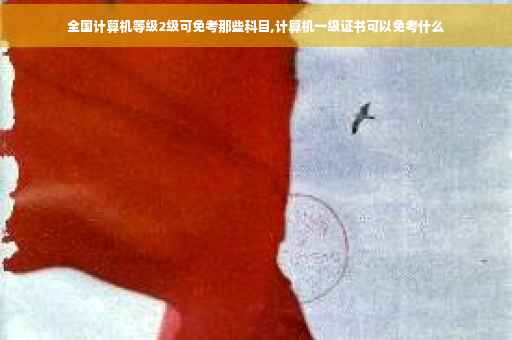 全国计算机等级2级可免考那些科目,计算机一级证书可以免考什么