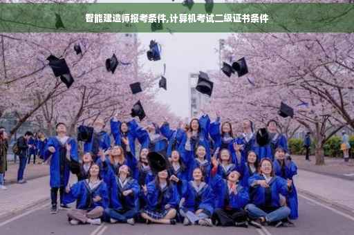 智能建造师报考条件,计算机考试二级证书条件