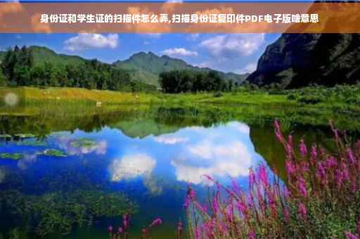 身份证和学生证的扫描件怎么弄,扫描身份证复印件PDF电子版啥意思