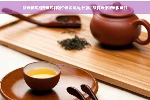 软著和实用新型专利哪个含金量高,计算机软件著作权类似证书