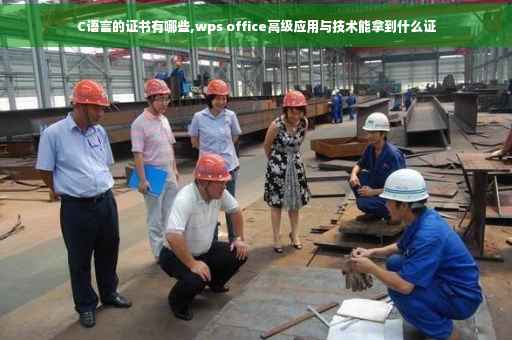 C语言的证书有哪些,wps office高级应用与技术能拿到什么证