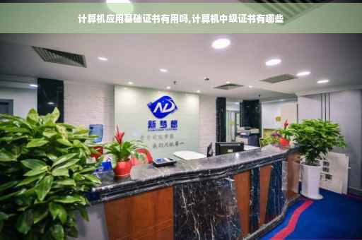 计算机应用基础证书有用吗,计算机中级证书有哪些