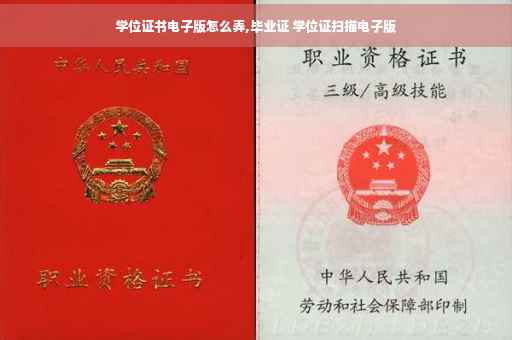 学位证书电子版怎么弄,毕业证 学位证扫描电子版