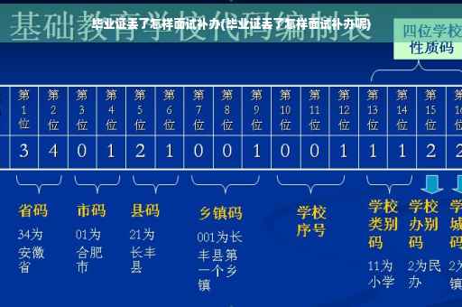 毕业证丢了怎样面试补办(毕业证丢了怎样面试补办呢)