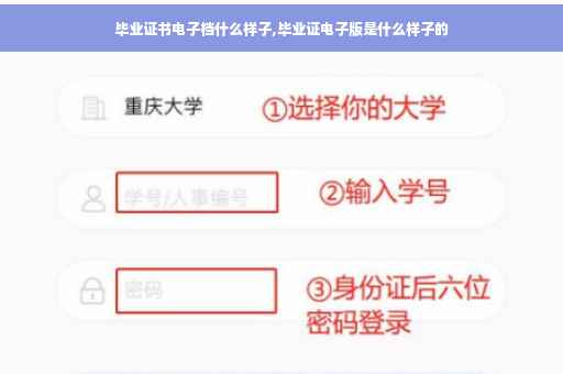 毕业证书电子档什么样子,毕业证电子版是什么样子的