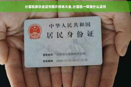 计算机类毕业证书图片样本大全,计算机一级是什么证书