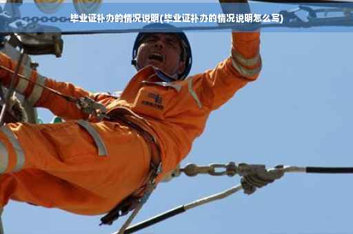 毕业证补办的情况说明(毕业证补办的情况说明怎么写)