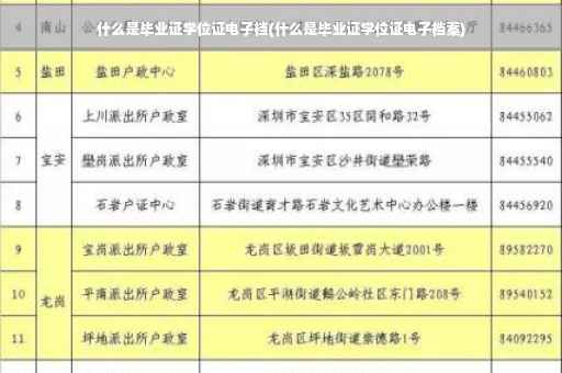 什么是毕业证学位证电子档(什么是毕业证学位证电子档案)