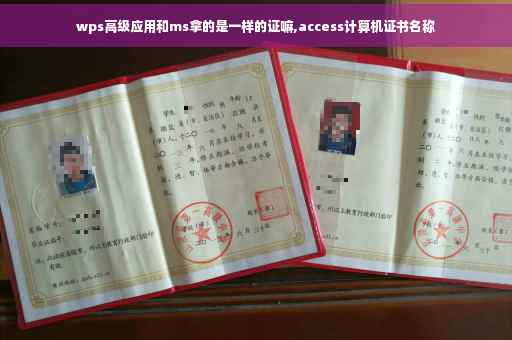 wps高级应用和ms拿的是一样的证嘛,access计算机证书名称