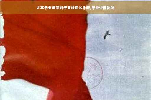 大学毕业没拿到毕业证怎么补救,毕业证能补吗
