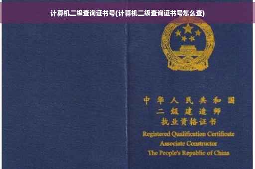 计算机二级查询证书号(计算机二级查询证书号怎么查)