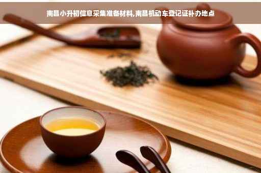 南昌小升初信息采集准备材料,南昌机动车登记证补办地点