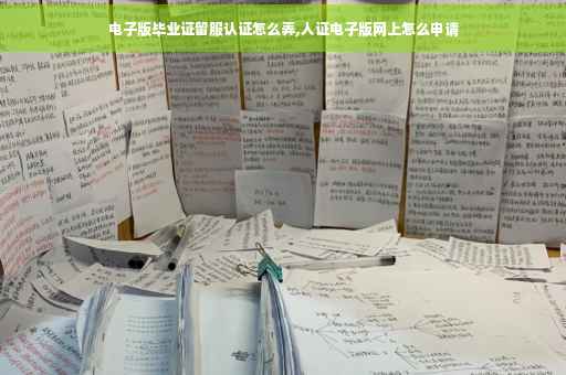 电子版毕业证留服认证怎么弄,人证电子版网上怎么申请