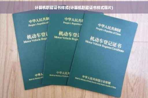 计算机职称证书样式(计算机职称证书样式图片)