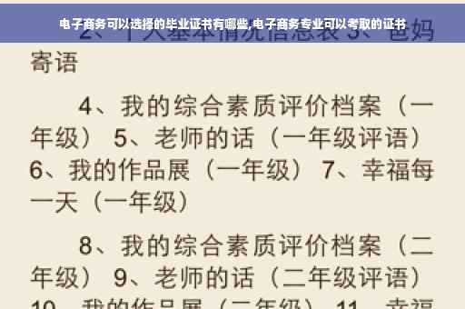 电子商务可以选择的毕业证书有哪些,电子商务专业可以考取的证书