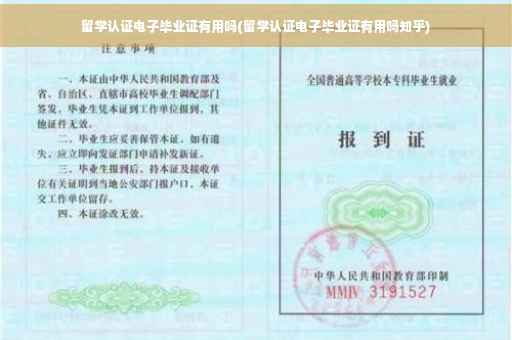 留学认证电子毕业证有用吗(留学认证电子毕业证有用吗知乎)