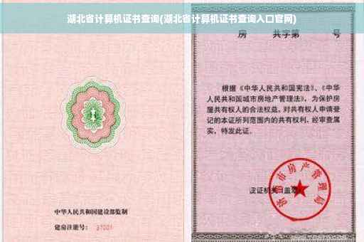 湖北省计算机证书查询(湖北省计算机证书查询入口官网)