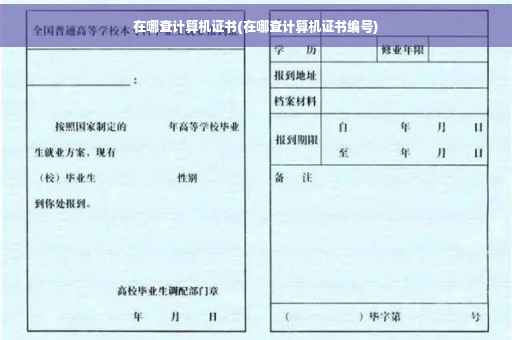 在哪查计算机证书(在哪查计算机证书编号) 在哪查计算机证书(在哪查计算机证书编号)