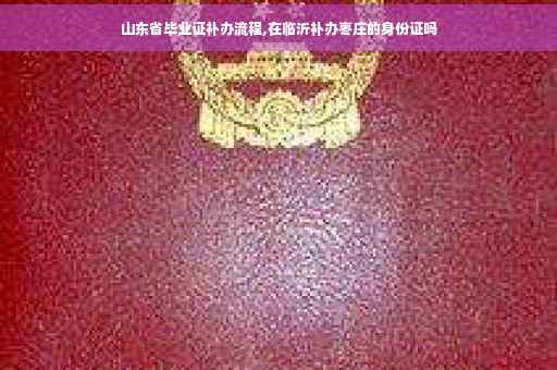 山东省毕业证补办流程,在临沂补办枣庄的身份证吗