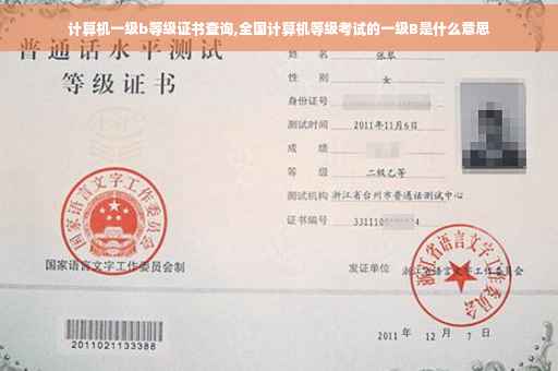 计算机一级b等级证书查询,全国计算机等级考试的一级B是什么意思