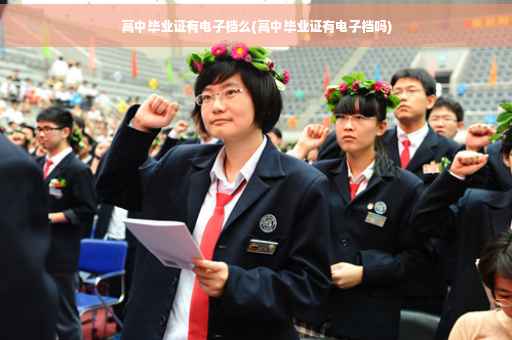 高中毕业证有电子档么(高中毕业证有电子档吗)