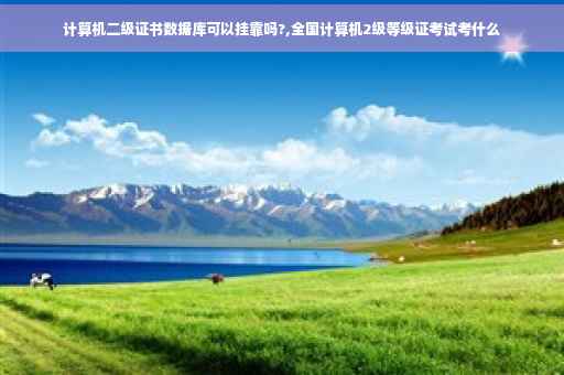 计算机二级证书数据库可以挂靠吗?,全国计算机2级等级证考试考什么