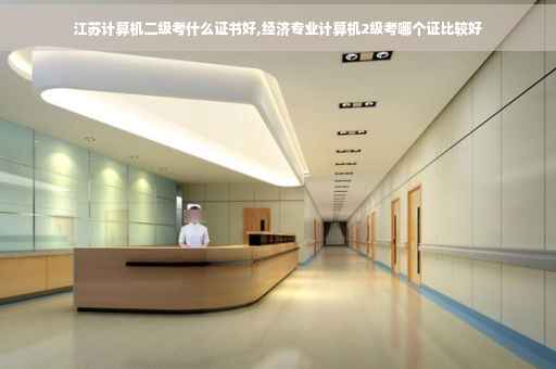 江苏计算机二级考什么证书好,经济专业计算机2级考哪个证比较好